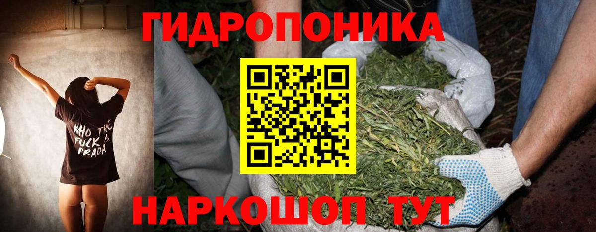 Шишки марихуана тримм Кимры
